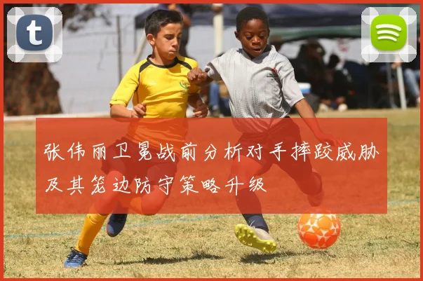 张伟丽卫冕战前分析对手摔跤威胁及其笼边防守策略升级